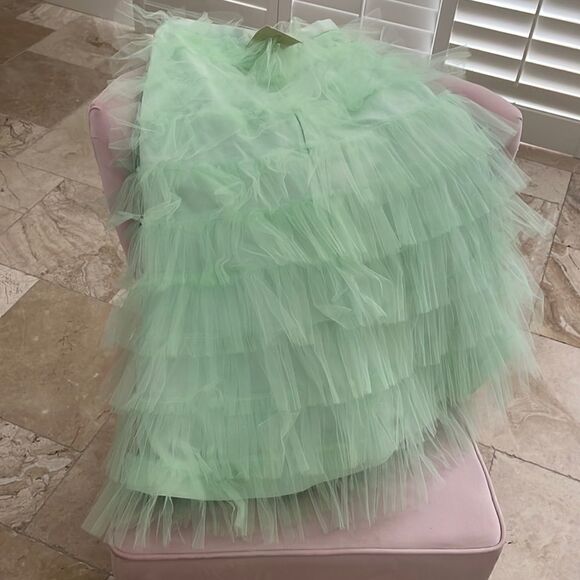 BHLDN mint green tulle ballerina skirt (hitertho) size 2 NWT - Picture 1 of 9